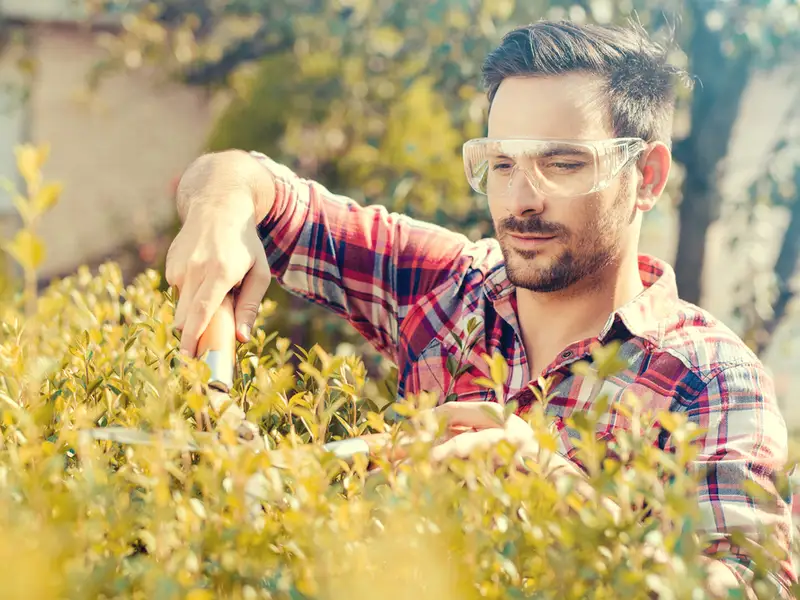 5 tipuri de unelte pe care orice gospodar trebuie sa le aiba mereu la indemana