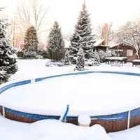 Cum să aveți grijă de brazii din curte în sezonul rece