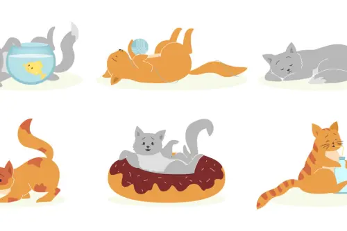 Pisica în Apartament: Cum Să-i Creezi un Mediu Fericit și Sănătos