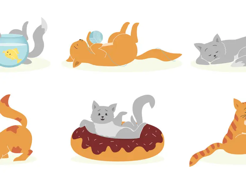 Pisica în Apartament: Cum Să-i Creezi un Mediu Fericit și Sănătos