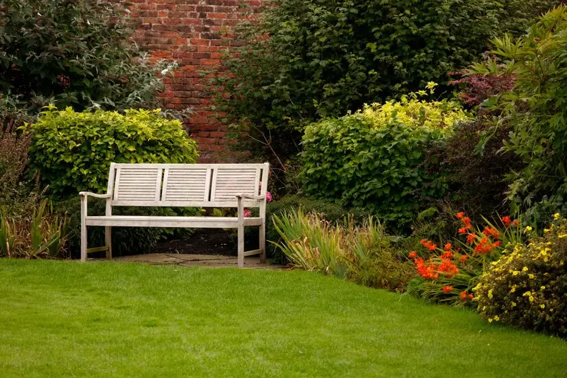 Tips for a Beautiful Lawn All Summer Long