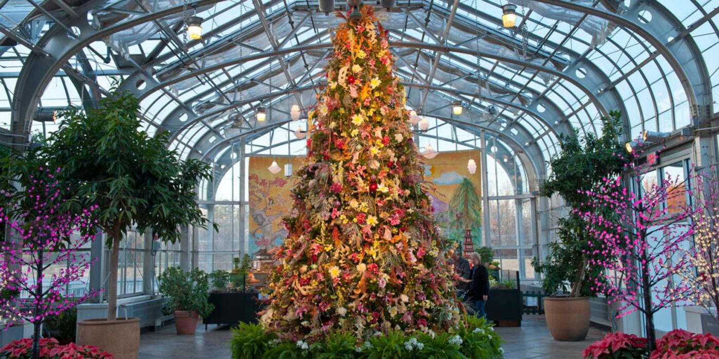 Cȃnd s-a inventat beteala?