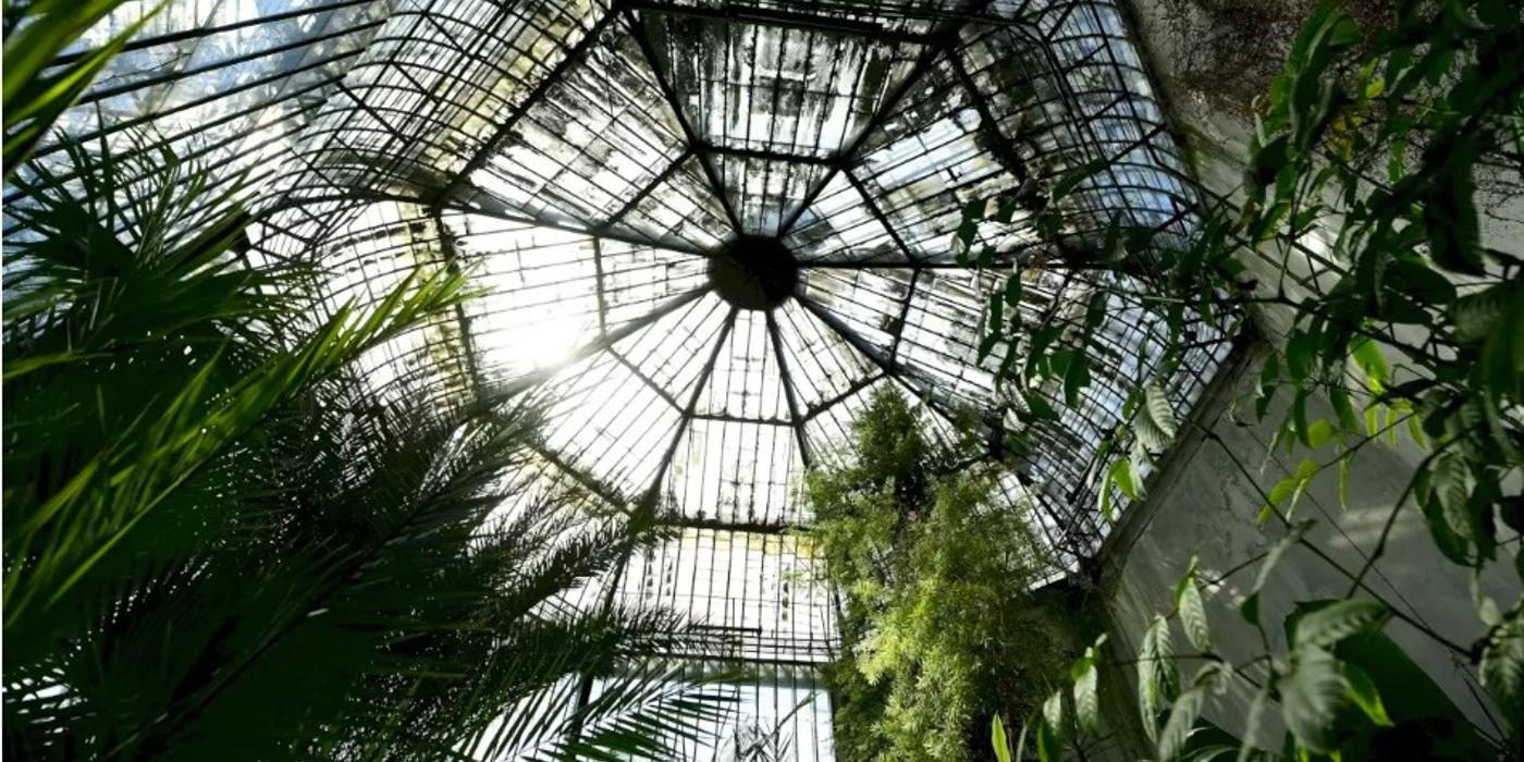 Grădina Botanică din cartierul Cotroceni, acel loc special care adăpostește multe specii de plante