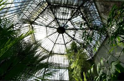 Grădina Botanică din cartierul Cotroceni, acel loc special care adăpostește multe specii de plante