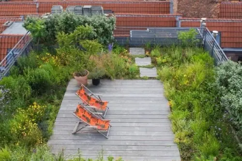 Acoperisurile verzi – cele mai noi tendinte in amenajarile urbane