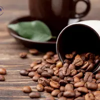 De ce să alegi sortimente proaspete de cafea de la Edream