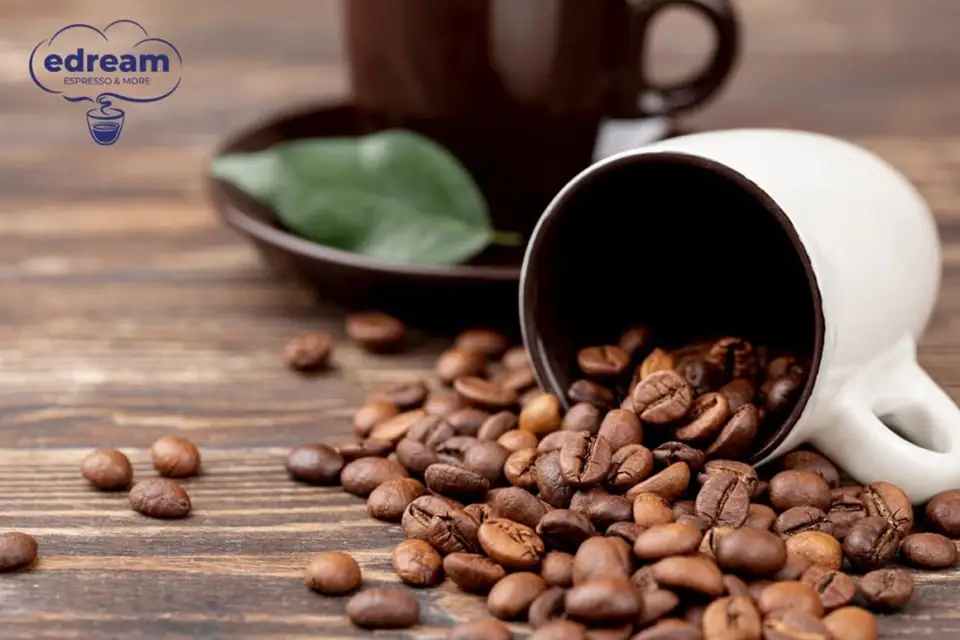 Why Choose Fresh Coffee Varieties from Edream?