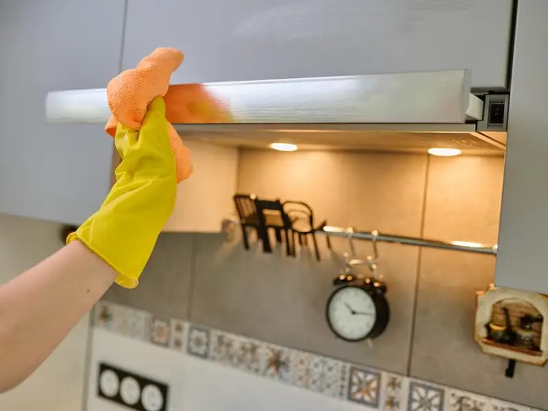 Top 15 soluții eficiente de curățare a hotei