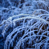Prognoza meteo, 20 decembrie. Temperaturile scad semnificativ în toată țara. Nu vor lipsi ploile