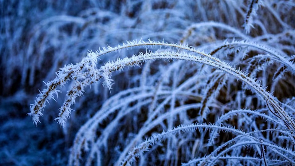 Prognoza meteo, 20 decembrie. Temperaturile scad semnificativ în toată țara. Nu vor lipsi ploile