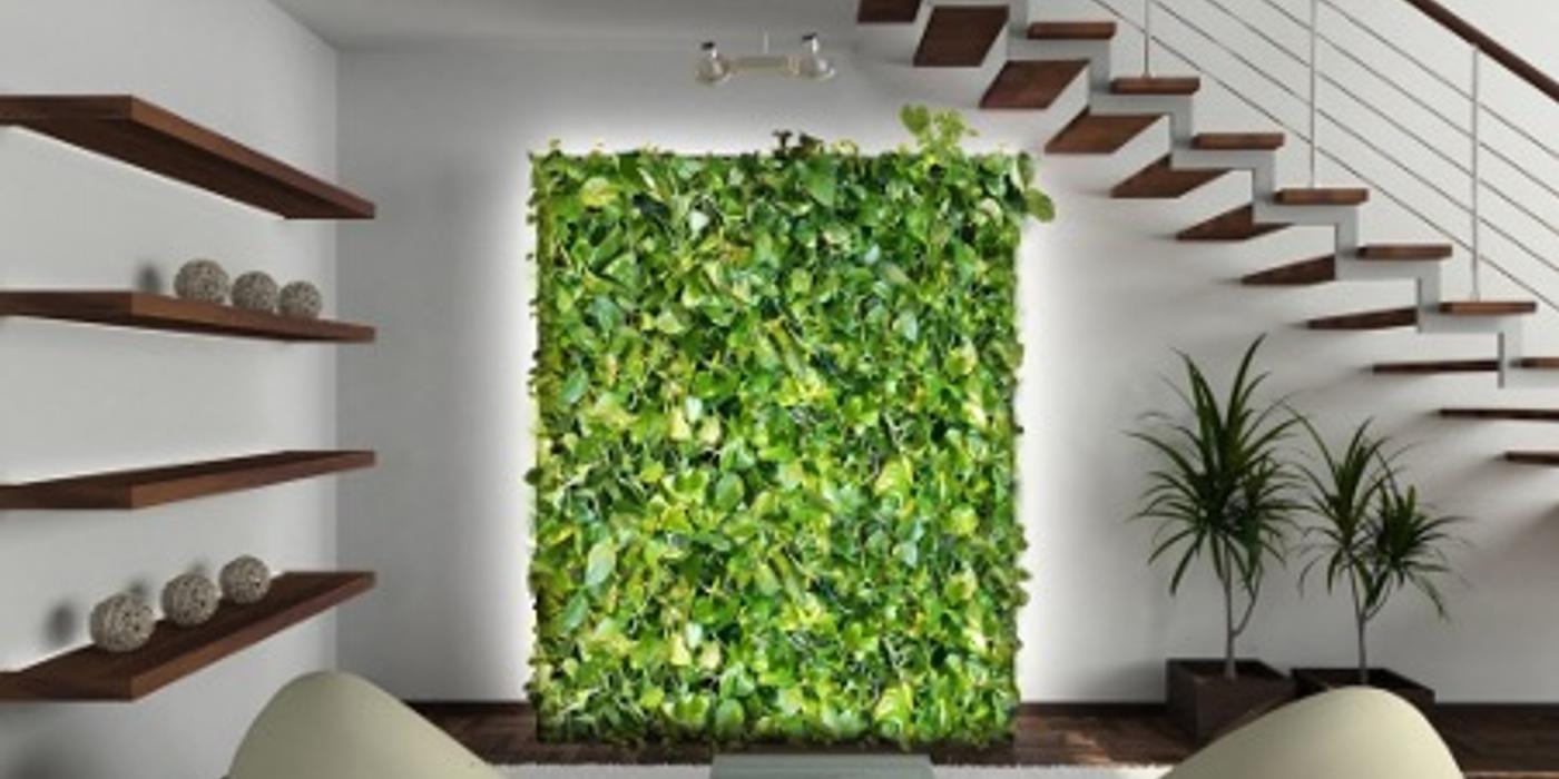 Grădina verticală – soluția modernă pentru spații mici și urbane