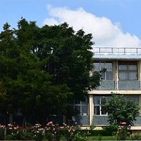 Investiție în viticultură: Stațiunea Murfatlar a semnat un contract de peste 440.000 de lei pentru pesticide și îngrășăminte