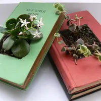 Cum sa iti faci ghivece de flori din carti vechi