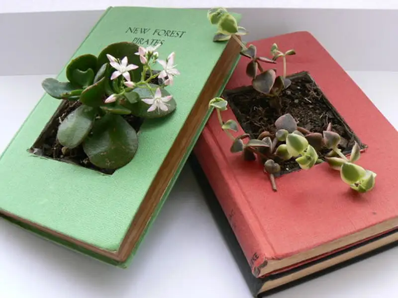 Cum sa iti faci ghivece de flori din carti vechi