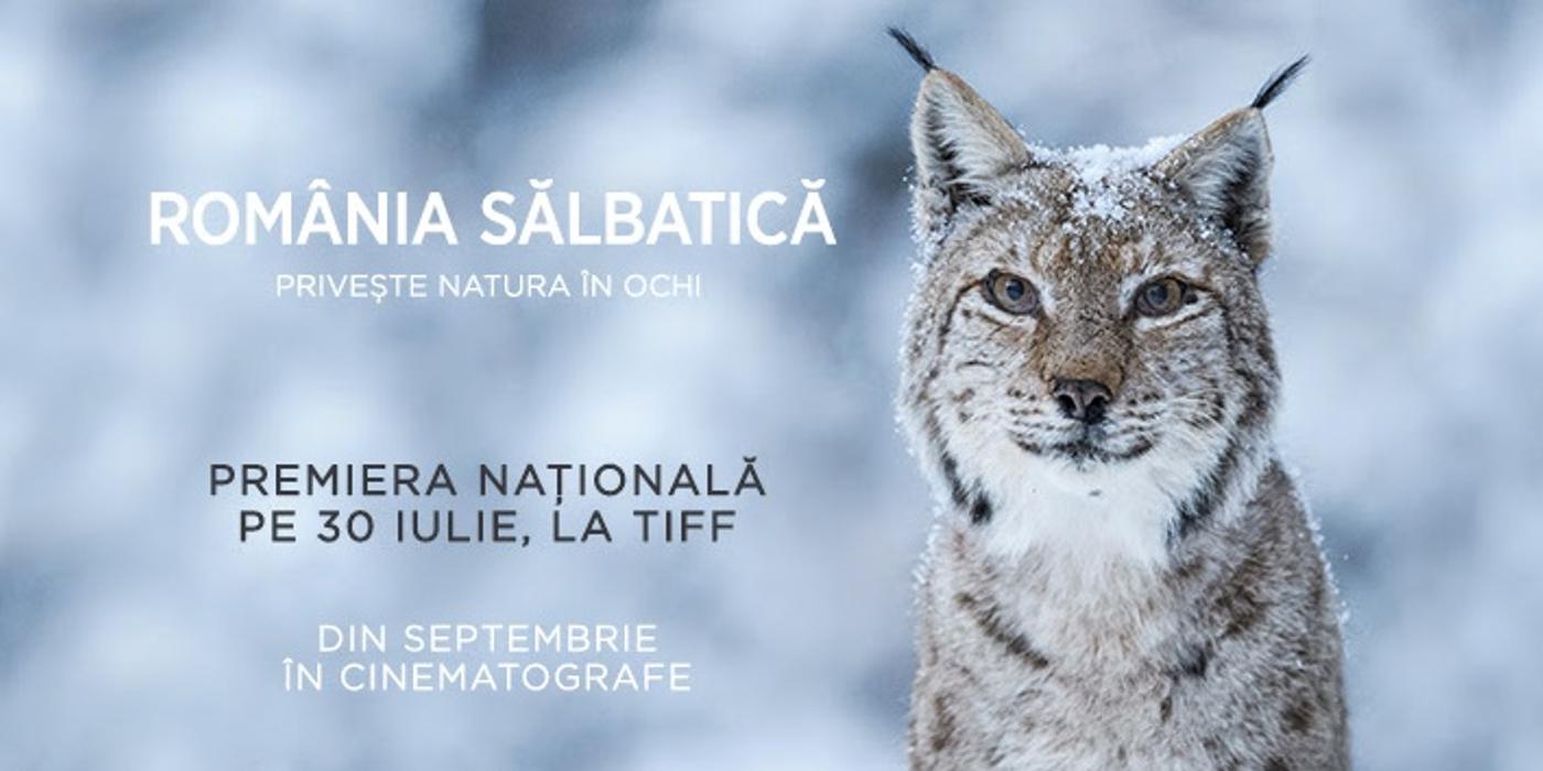 Premieră la TIFF: România Sălbatică priveşte natura în ochi! Actorul Adrian Titieni este naratorul