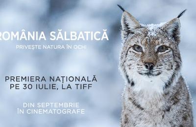 Premieră la TIFF: România Sălbatică priveşte natura în ochi! Actorul Adrian Titieni este naratorul