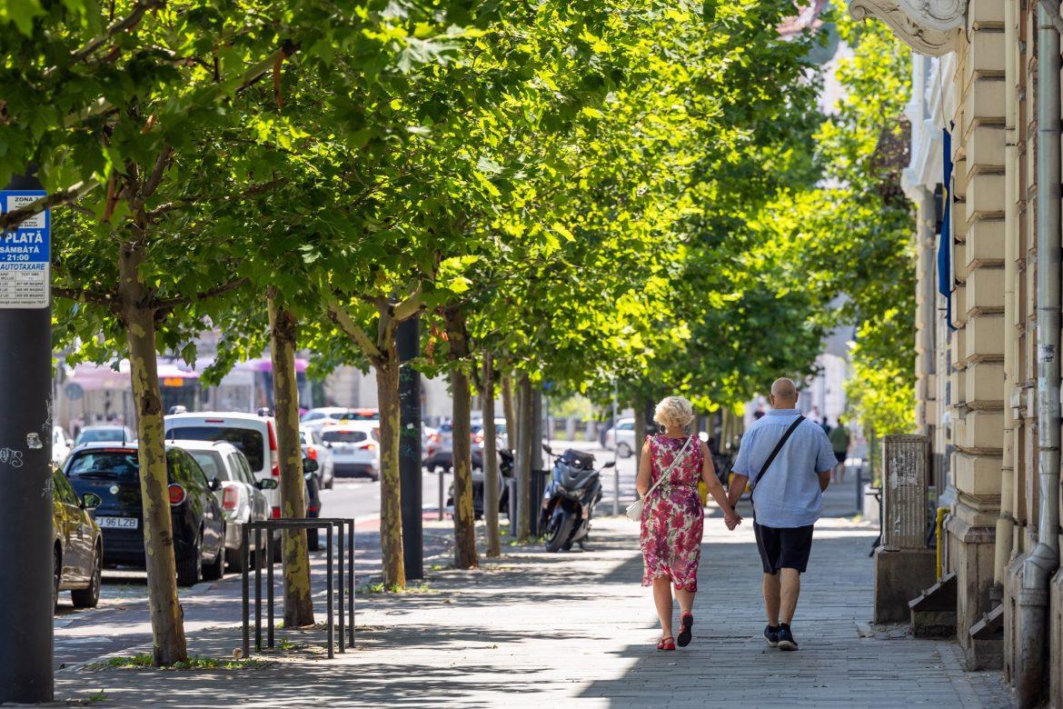 Peste 3.700 copaci au fost plantați de Primăria Cluj-Napoca în perioada 2023-2024