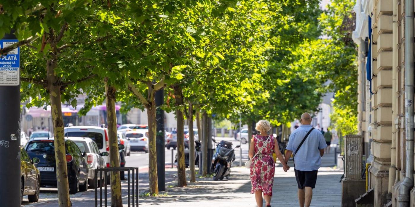 Peste 3.700 copaci au fost plantați de Primăria Cluj-Napoca în perioada 2023-2024