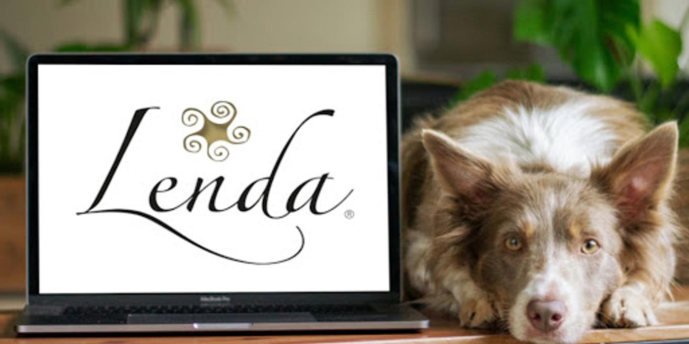 Hrana naturală de la Lenda, soluția unei vieți sănătoase pentru câini și pisici