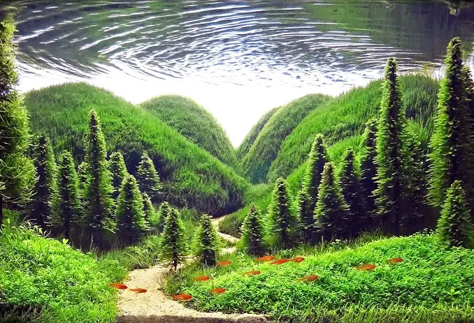 Acvarii incredibile cu peisaje in miniatura inspirate din gradini si paduri