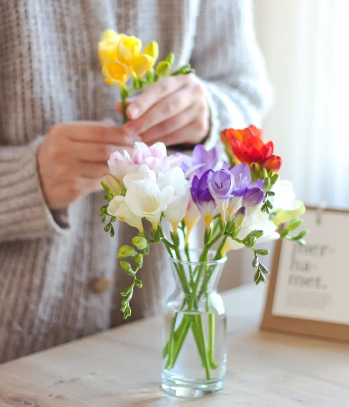 Frezia, sfaturi pentru ingrijire si inmultire