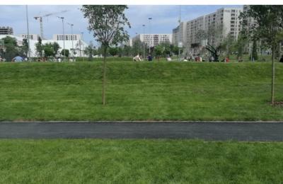 Loc de joacă pentru căței, în Parcul Liniei din Sectorul 6, promisiunea primarului Ciprian Ciucu