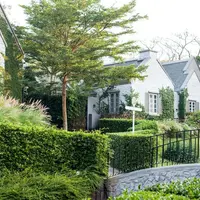 Top 15 idei inovatoare privind crearea unui gard viu