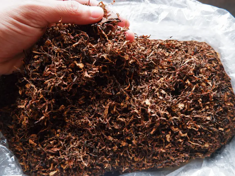 Tutun la găleată – cum alegi varianta potrivită pentru stilul tău de fumat