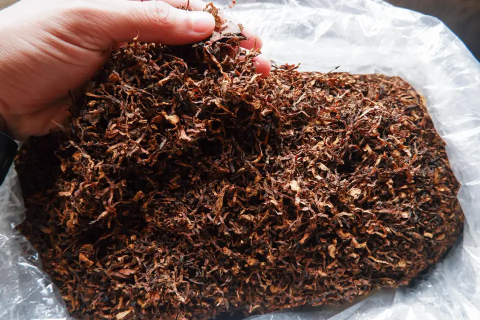 Tobacco by the Bucket: How to Choose the Right Option for Your Smoking Style