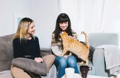 The Role of Cats in Improving Social Interaction in Apartments