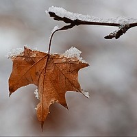Prognoza meteo, 29 noiembrie. Început de weekend cu temperaturi scăzute, ploi și ninsori