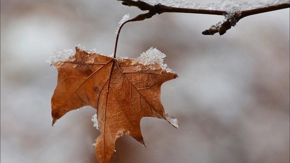 Prognoza meteo, 29 noiembrie. Început de weekend cu temperaturi scăzute, ploi și ninsori
