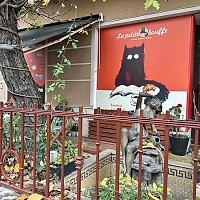 O combinație de cafenea, librărie și patiserie, care merită explorată dacă ești în căutarea unui moment relaxat cu aromă de toamnă