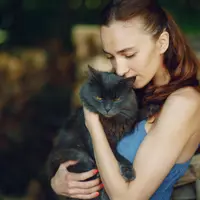 De ce pisicile în apartament ne aduc bucurii. Cum ne iubesc.