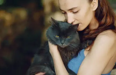 Why Apartment Cats Bring Us Joy: How They Love Us.