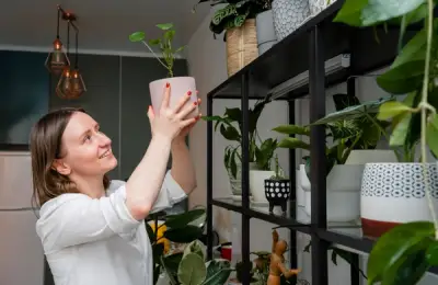 The Importance of Indoor Plants for Health and Home Aesthetics