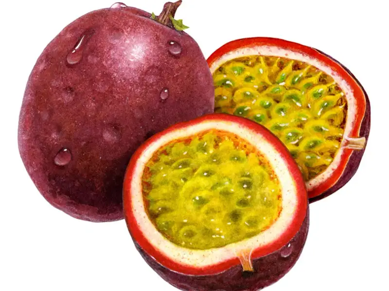 Cum se planteaza fructul pasiunii? (VIDEO)