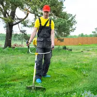 Trucuri mai puțin știute de cosire a ierbii din curte