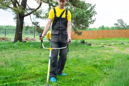 Trucuri mai puțin știute de cosire a ierbii din curte