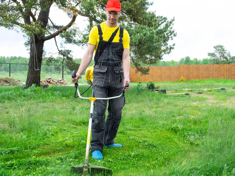 Trucuri mai puțin știute de cosire a ierbii din curte