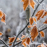 Prognoza meteo, 19 decembrie. Final de săptămână cu vreme neobișnuită. Ceața persistentă în unele județe