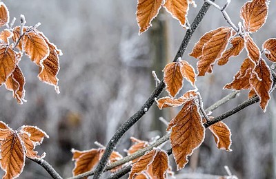 Prognoza meteo, 19 decembrie. Final de săptămână cu vreme neobișnuită. Ceața persistentă în unele județe