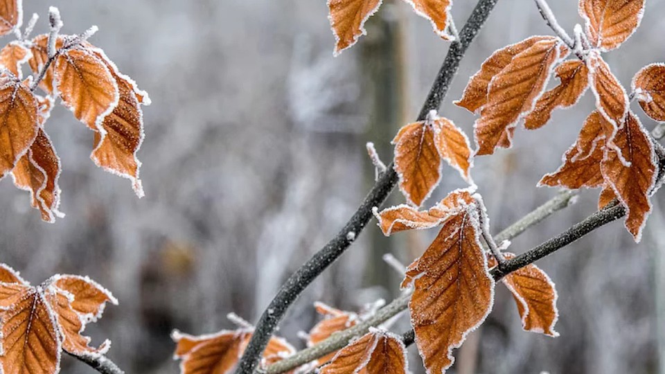 Prognoza meteo, 19 decembrie. Final de săptămână cu vreme neobișnuită. Ceața persistentă în unele județe
