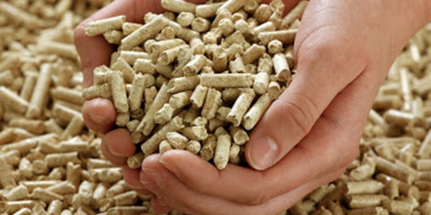 Ce sunt peletii și cum îi poți folosi acasă? Tipstricks