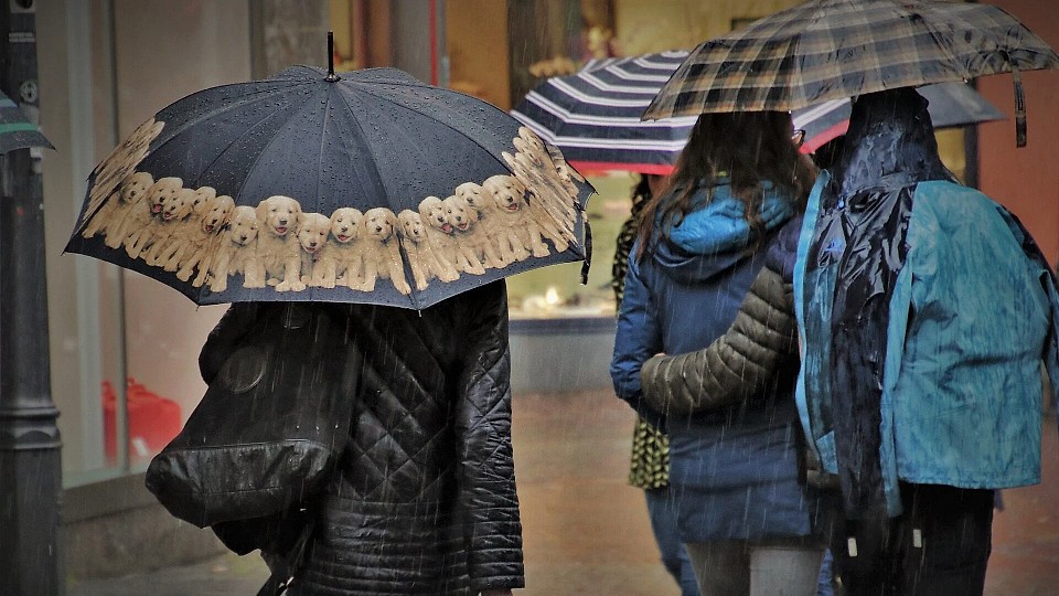 Prognoza meteo, 28 ianuarie. Vreme caldă, de primăvară. Zonele în care va ploua