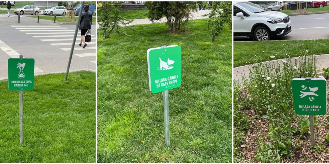 Poliția Locală Sector 6 a dat sute de amenzi persoanelor care deranjează liniștea publică sau nu au strâns după animalele lor de companie