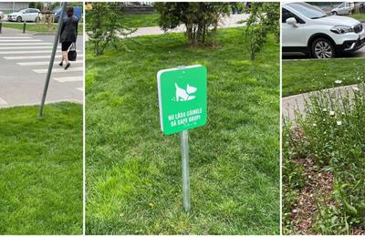 Poliția Locală Sector 6 a dat sute de amenzi persoanelor care deranjează liniștea publică sau nu au strâns după animalele lor de companie