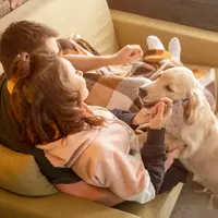 Cum să îți ții câinele activ într-un apartament mic – exerciții, plimbări și jocuri interactive