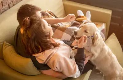 Cum să îți ții câinele activ într-un apartament mic – exerciții, plimbări și jocuri interactive