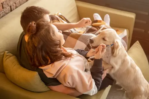 Cum să îți ții câinele activ într-un apartament mic – exerciții, plimbări și jocuri interactive